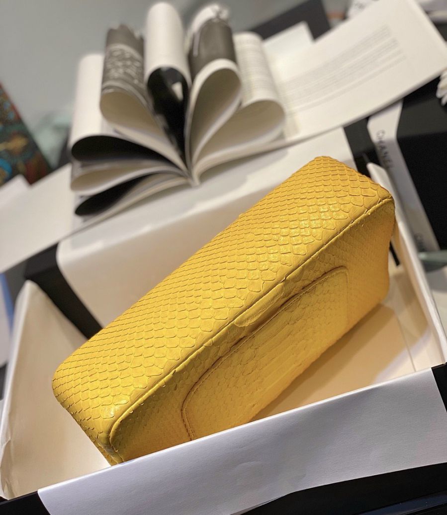 Túi Xách Chanel Classic Mãng Xà – Vàng