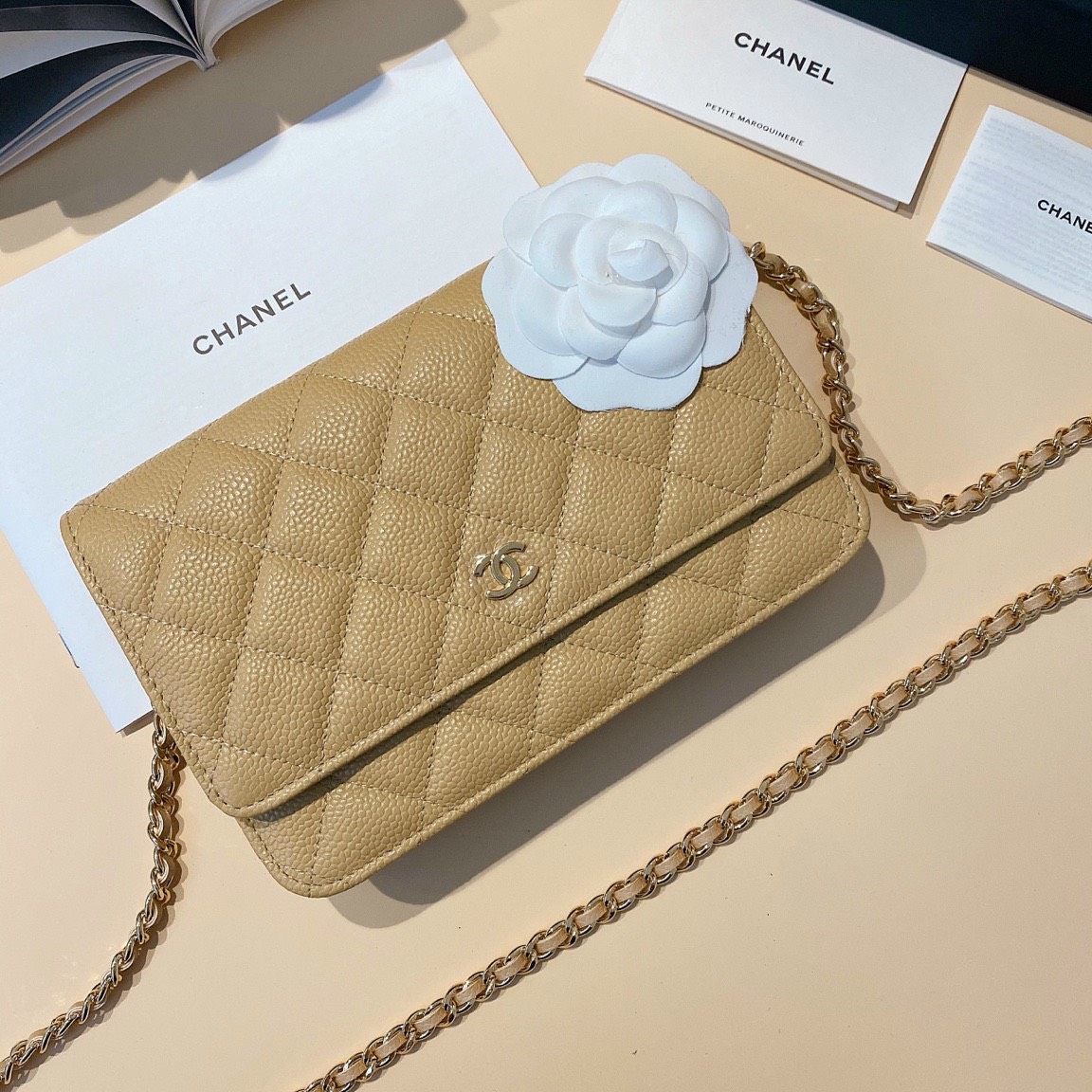 Tổng hợp các kiểu túi xách Chanel khiến nàng ước ao (P1)