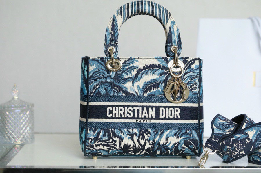 Tìm hiểu kích thước túi Dior Lady chi tiết và chính xác nhất