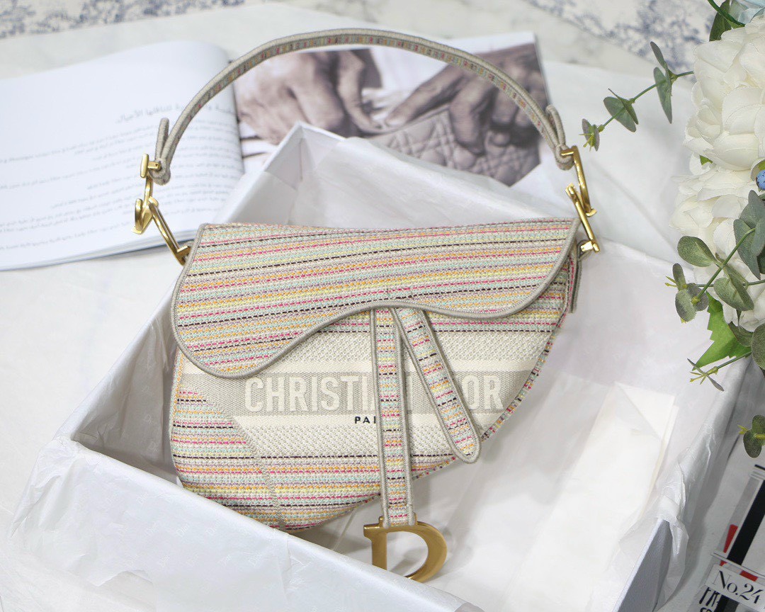 Liệu có nên đầu tư vào túi Christian Dior hay không?
