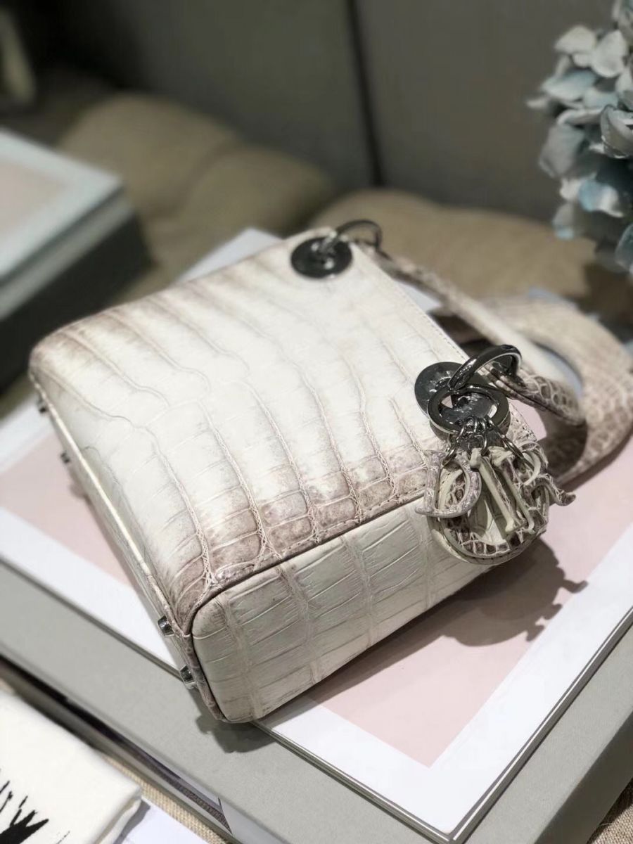 Túi Xách Mini Lady Dior Bag Himalaya