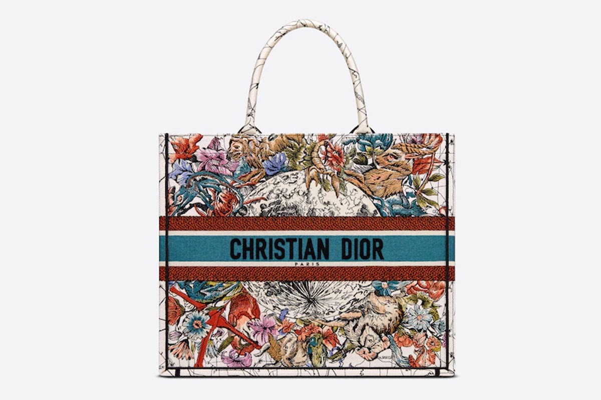 5 kiểu túi xách Dior mẫu mới nhất không thể bỏ qua